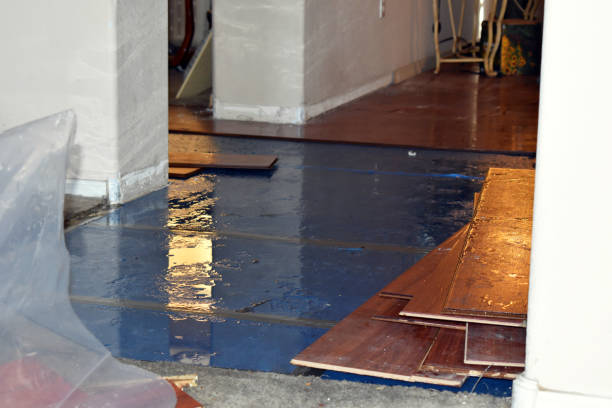 Professional Burst Pipe Cleanup technician working in Center Line, MI